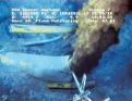 BP oil spill